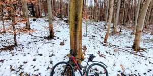 Beitragsbild des Blogbeitrags 23.3.21 - Schwechatbach