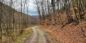 Beitragsbild des Blogbeitrags 4.4.21 - Glashütten
