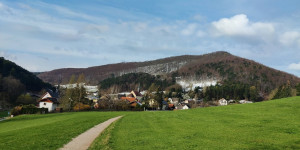 Beitragsbild des Blogbeitrags 15.4.21 - Raisenmarkt