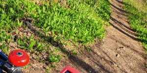 Beitragsbild des Blogbeitrags 10.4.21 - Schwarzberg-Reisetberg