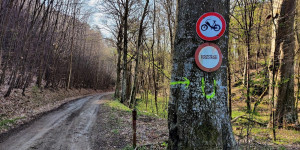 Beitragsbild des Blogbeitrags 21.4.21 - Schwarzensee-Haselbach-Wolfsgeist-Merkenstein-Zobelhof