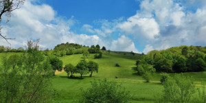 Beitragsbild des Blogbeitrags 20.5.21 - Groisbach