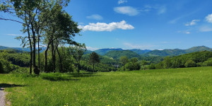 Beitragsbild des Blogbeitrags 26.5.21 - Helenental-Haselbach-Gadenweith-Schwarzensee