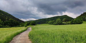 Beitragsbild des Blogbeitrags 30.5.21 - Schwechatbach