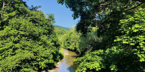 Beitragsbild des Blogbeitrags 7.6.21 - Helenental-Zobelhof