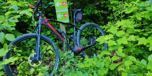 Beitragsbild des Blogbeitrags 8.6.21 - Preinsfeld-Steinleiten-Kreith