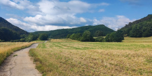 Beitragsbild des Blogbeitrags 19.7.21 - Raisenmarkt