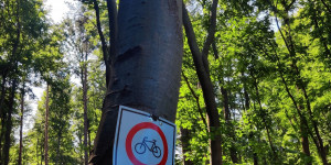 Beitragsbild des Blogbeitrags 21.7.21 - Schwarzberg-Reisetberg