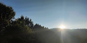 Beitragsbild des Blogbeitrags 24.7.21 - Helenental-Zobelhof-Kreith