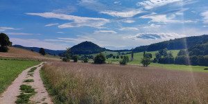 Beitragsbild des Blogbeitrags 31.7.21 - Groisbach