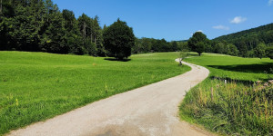 Beitragsbild des Blogbeitrags 11.8.21 - Helenental-Pfarrkogel-Haselbach-Schwarzensee