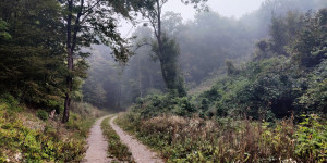 Beitragsbild des Blogbeitrags 26.9.21 - Preinsfeld-Reisetberg-Kreith