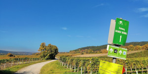 Beitragsbild des Blogbeitrags 20.10.21 - Zobelhof-Kreith