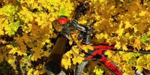 Beitragsbild des Blogbeitrags 22.10.21 - Sattelbach-Groisbach