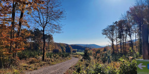 Beitragsbild des Blogbeitrags 24.10.21 - Schwarzberg