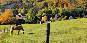 Beitragsbild des Blogbeitrags 25.10.21 - Sattelbach-Raisenmarkt