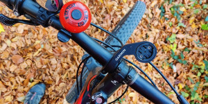 Beitragsbild des Blogbeitrags 10.11.21 - Sattelbach