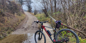 Beitragsbild des Blogbeitrags 14.11.21 - Groisbach