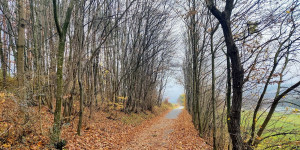 Beitragsbild des Blogbeitrags 13.11.21 - Sattelbach