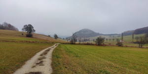 Beitragsbild des Blogbeitrags 15.11.21 - Groisbach