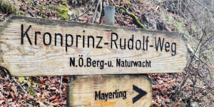 Beitragsbild des Blogbeitrags 17.11.21 - Sattelbach