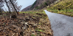 Beitragsbild des Blogbeitrags 1.12.21 - Sattelbach-Untermeierhof