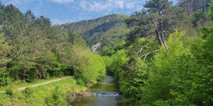Beitragsbild des Blogbeitrags 9.5.22 - Reisetberg-Rosental