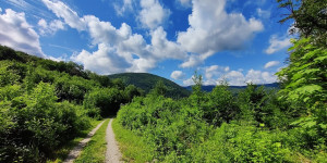 Beitragsbild des Blogbeitrags 30.5.22 - Schwarzberg-Windhag 