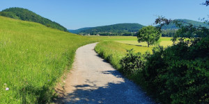Beitragsbild des Blogbeitrags 12.6.22 - Alland-Schwechatbach