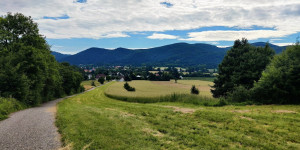 Beitragsbild des Blogbeitrags 18.6.22 - Rund um den Anninger
