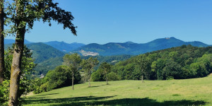 Beitragsbild des Blogbeitrags 18.7.22 - Helenental-Pfarrkogel-Neuhaus-Schwarzensee-Kreith