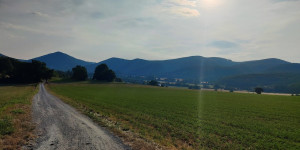 Beitragsbild des Blogbeitrags 24.7.22 - Rund um den Anninger
