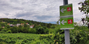 Beitragsbild des Blogbeitrags 7.8.22 - Römerberg-Groisbach