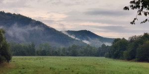 Beitragsbild des Blogbeitrags 28.8.22 - Groisbach und Schwechatbach