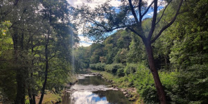 Beitragsbild des Blogbeitrags 9.9.22 - Römerberg