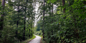 Beitragsbild des Blogbeitrags 20.9.22 - Schwechatbach