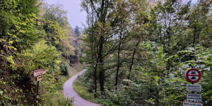 Beitragsbild des Blogbeitrags 25.9.22 - Sattelbach