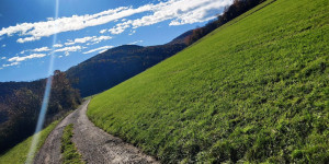 Beitragsbild des Blogbeitrags 25.10.22 - Untermeierhof-Schwechatbach