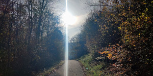 Beitragsbild des Blogbeitrags 30.10.22 - Sattelbach