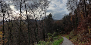 Beitragsbild des Blogbeitrags 5.11.22 - Sattelbach