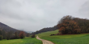 Beitragsbild des Blogbeitrags 9.11.22 - Groisbach
