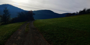 Beitragsbild des Blogbeitrags 11.11.22 - Raisenmarkt