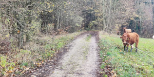 Beitragsbild des Blogbeitrags 14.11.22 - Kreith