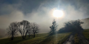 Beitragsbild des Blogbeitrags 27.11.22 - Untermeierhof