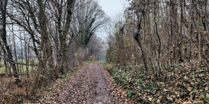 Beitragsbild des Blogbeitrags 2.12.22 - Groisbach