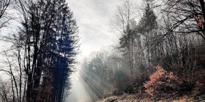 Beitragsbild des Blogbeitrags 1.1.23 - Baden-Esplanade