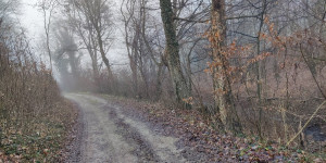 Beitragsbild des Blogbeitrags 8.1.23 - Groisbach