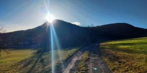 Beitragsbild des Blogbeitrags 14.1.23 - Untermeierhof-Schwechatbach