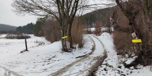 Beitragsbild des Blogbeitrags 24.1.23 - Holzschlag - Winterliga 