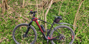 Beitragsbild des Blogbeitrags 15.3.23 - Groisbach